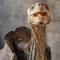 Conoce a Diego, una tierna tortuga que engendró más de 800 crías y salvó a su especie